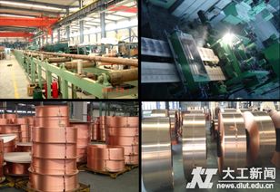 蹇錫高團(tuán)隊(duì)發(fā)明專利獲中國(guó)專利金獎(jiǎng)